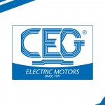 CEG // LOGO
